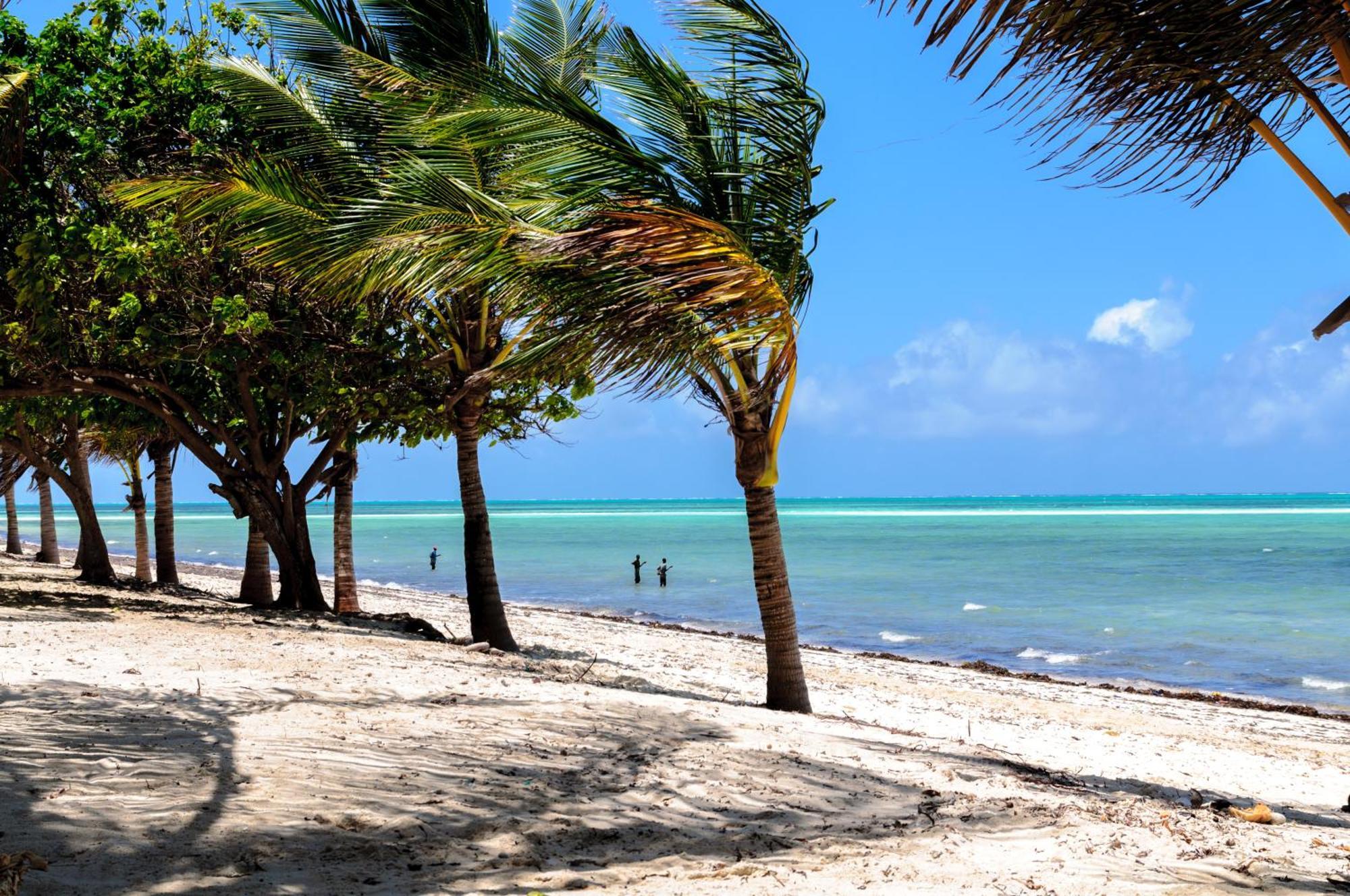 Twiga Beach Resort Watamu Ngoại thất bức ảnh